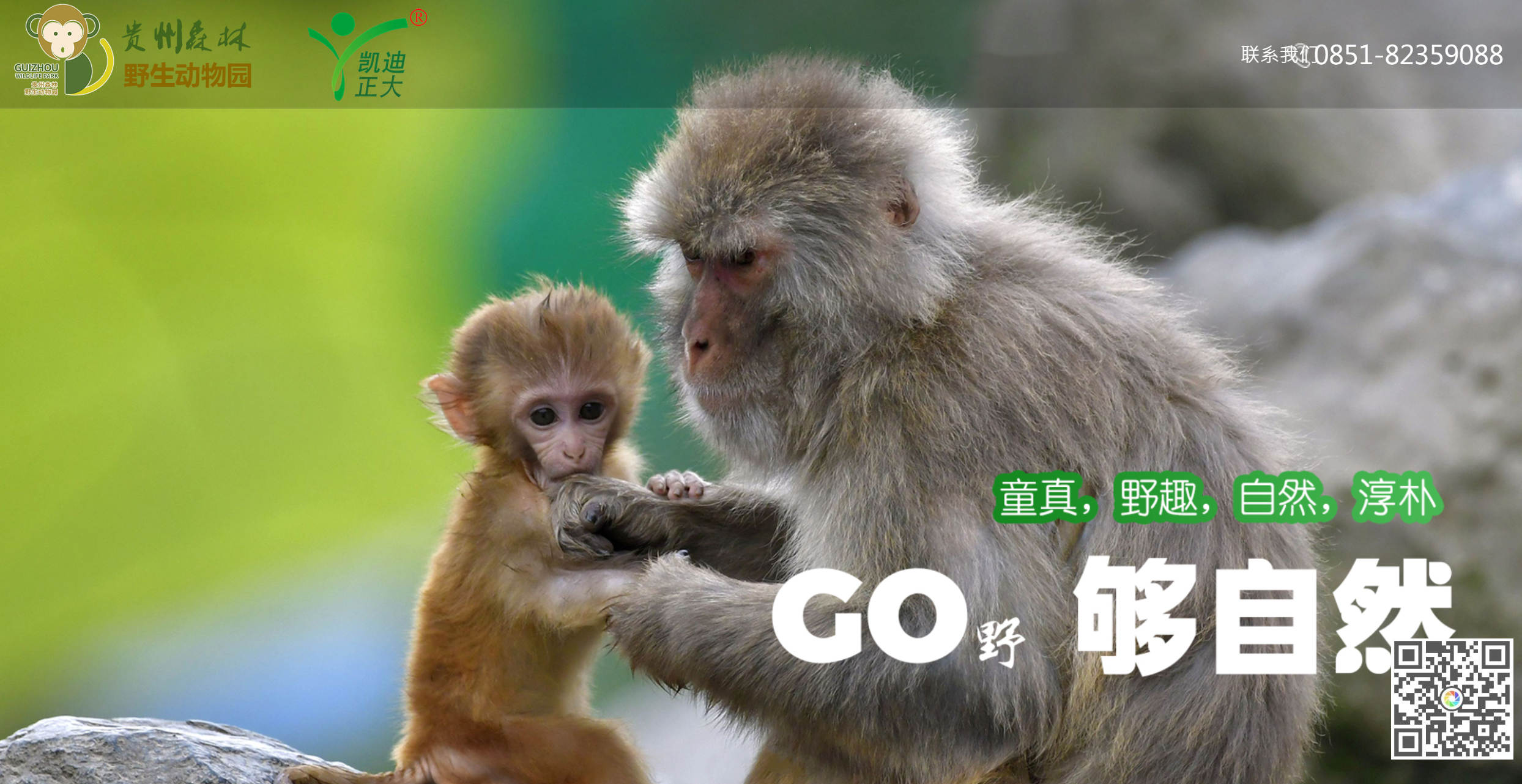 貴州（zhōu）森林動物園采購（gòu）直流高（gāo）壓脈衝發生器17套