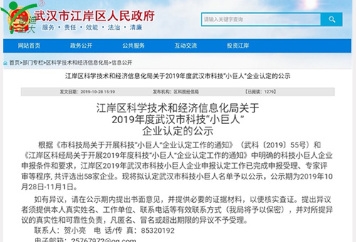 祝賀我司獲得江岸區科學技術和經濟信息化局（jú）2019年度武漢市科技“小巨人”企業認定