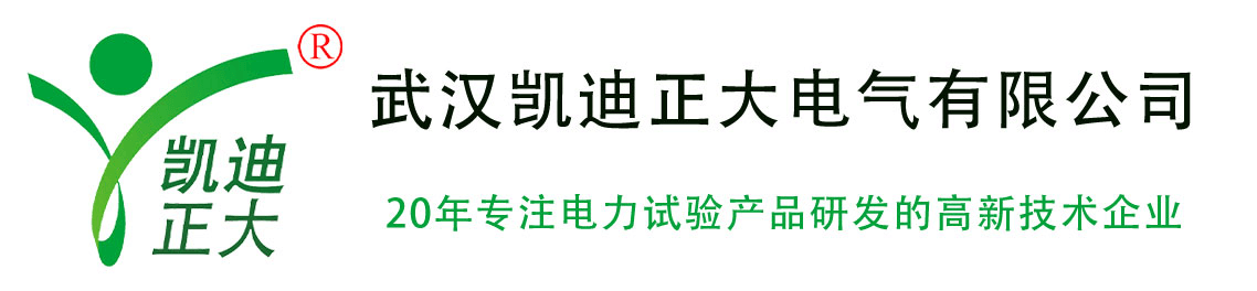 武漢凱迪正（zhèng）大